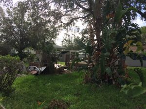 Teardown Prices in South Tampa
